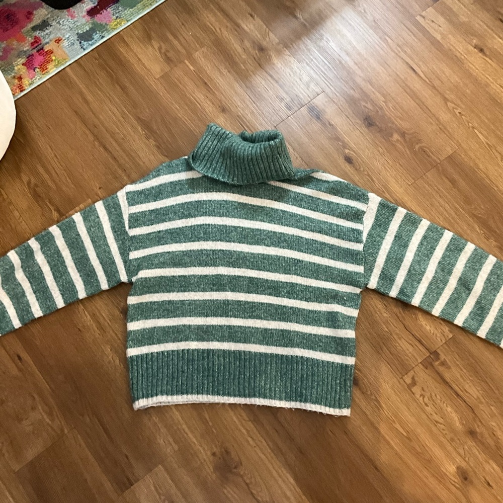 Z Supply Green and White Striped Turtleneck Sweater